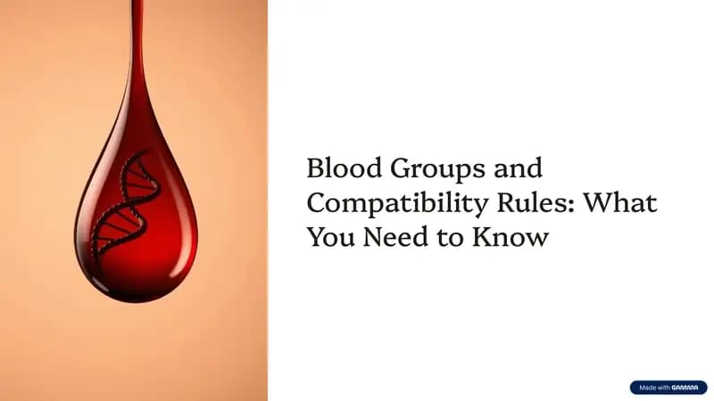Blood-Groups-and-Compatibility-Rules-What-You-Need-to-Know